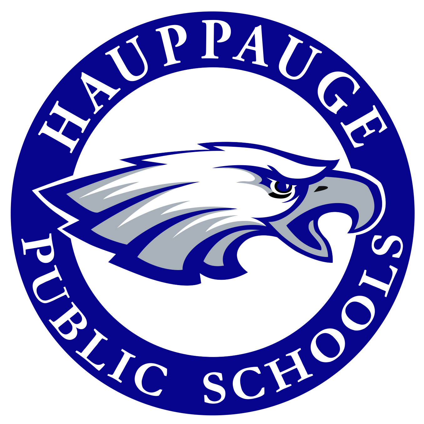 Hauppauge UFSD
